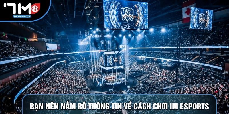 Bạn nên nắm rõ thông tin về cách chơi IM Esports