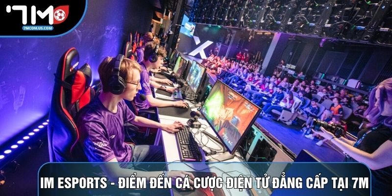 Im Esports - Điểm Đến Cá Cược Điện Tử Đẳng Cấp Tại 7M
