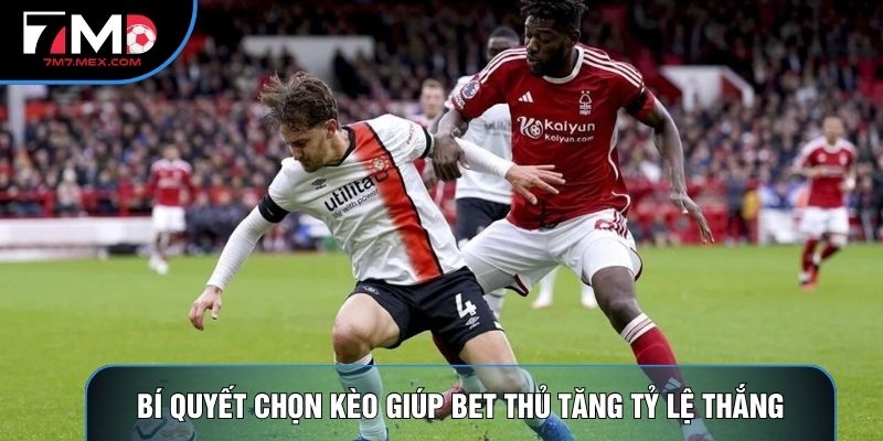 Bí quyết chọn kèo giúp bet thủ tăng tỷ lệ thắng