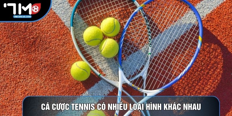 Cá cược tennis có nhiều loại hình khác nhau