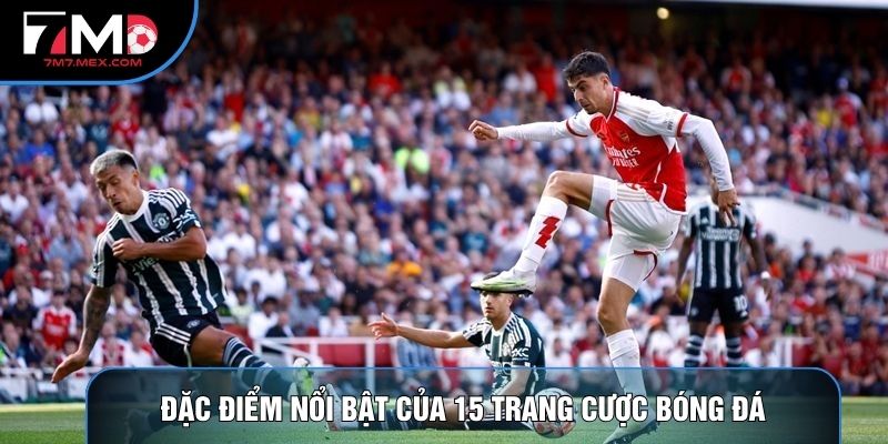Đặc điểm nổi bật của 15 trang cược bóng đá