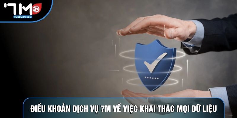 Điều khoản dịch vụ 7M về việc khai thác mọi dữ liệu