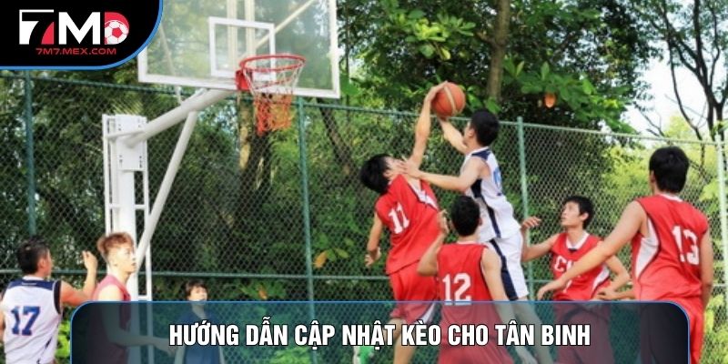Hướng dẫn cập nhật kèo cho tân binh