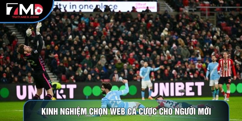Kinh nghiệm chọn web cá cược cho người mới