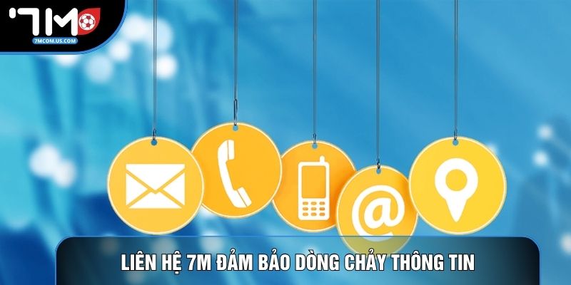 Liên hệ 7M đảm bảo dòng chảy thông tin
