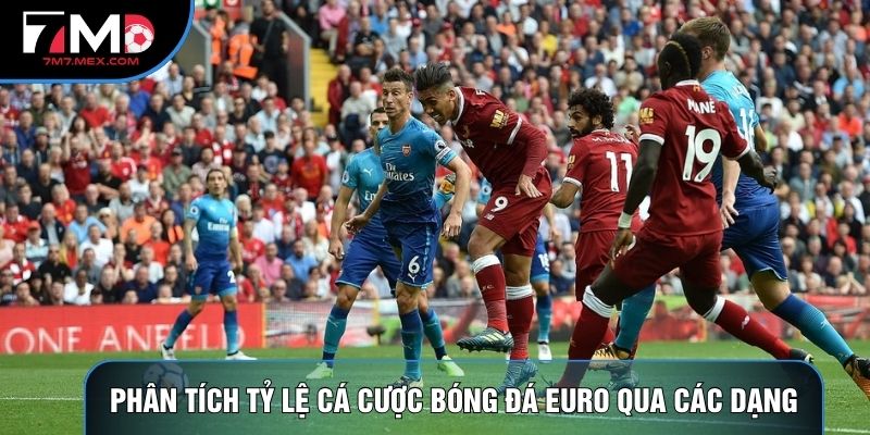 Phân tích tỷ lệ cá cược bóng đá euro qua các dạng