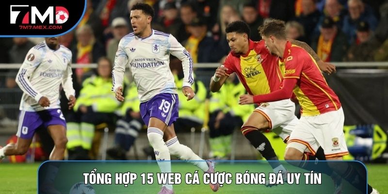 Tổng hợp 15 web cá cược bóng đá uy tín