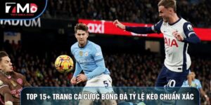 Top 15+ Trang Cá Cược Bóng Đá Hàng Đầu, Tỷ Lệ Kèo Chuẩn Xác