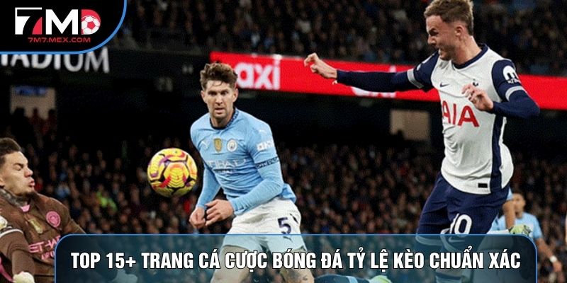 Top 15+ Trang Cá Cược Bóng Đá Hàng Đầu, Tỷ Lệ Kèo Chuẩn Xác