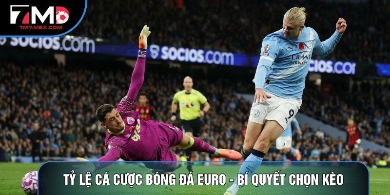 Tỷ Lệ Cá Cược Bóng Đá Euro - Bí Quyết Chọn Kèo Cho Tân Thủ